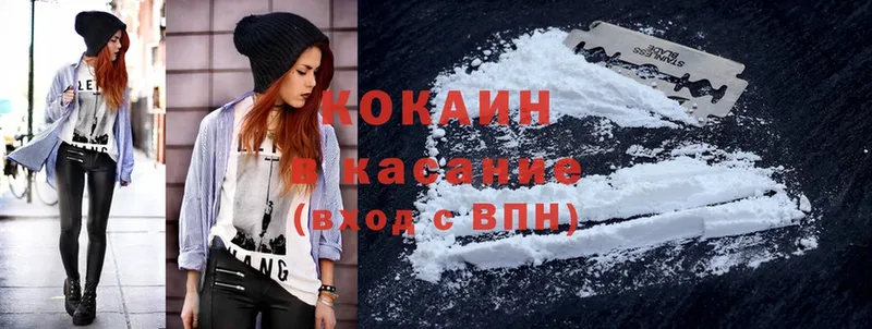 COCAIN Fish Scale  купить наркоту  площадка как зайти  Дигора 